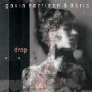 Gavin Harrison & 05ric - Drop