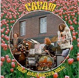 Cream - Tulip Bulb Auction