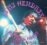 Jimi Hendrix - Bleeding Heart