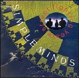 Simple Minds - Street Fighting Years