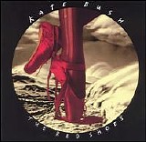 Kate Bush - The Red Shoes