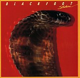 Blackfoot - Strikes