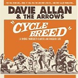 Davie Allan & The Arrows - The Cycle Breed