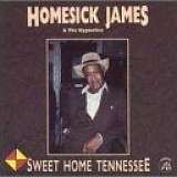 Homesick James - Sweet Home Tennessee