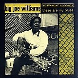 Big Joe Williams - These Are My Blues