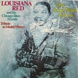 Louisiana Red - Boy From Black Bayou: Tribute to Muddy Waters