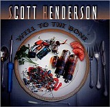 Scott Henderson - Well To The Bone