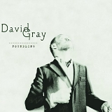 Gray, David - Foundling