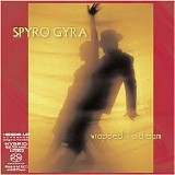 Spyro Gyra - Wrapped in a Dream