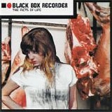 Black Box Recorder - The Facts Of Life