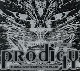 The Prodigy - Charly/Everybody in the Place