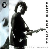 Tony Joe White - The Path of a Decent Groove