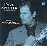 Dave Specter - Left Turn on Blue