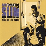 Automatic Slim - What Did I Do Wrong