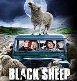 Victoria Kelly - Black Sheep