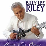 Billy Lee Riley - Shade Tree Blues  @320