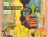 Big Bill Broonzy - Bill Broonzy Story