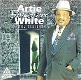 Artie "Blues Boy" White - Home Tonight   @320