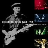 The Richard Thompson Band - Semi-Detached Mock Tudor