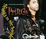 Prince - Thieves In The Temple [remix]