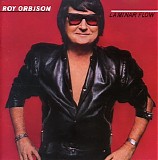 Roy Orbison - Laminar Flow