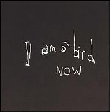 Antony & the Johnsons - I Am a Bird Now