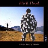 Pink Floyd - Delicate Sound Of Thunder