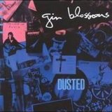 Gin Blossoms - Dusted