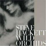 Steve Hackett - Wild Orchids