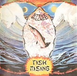 Steve Hillage - Fish Rising