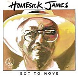 Homesick James - Got To Move   @320