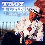 Troy Turner - Whole Lotta Blues