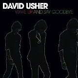 David Usher - Wake Up And Say Goodbye