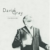 David Gray - Foundling