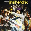 The Purple Fox - Tribute To Jimi Hendrix