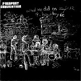 Fairport Convention - What We Did On Our Holidays