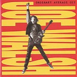 Joe Walsh - Ordinary Average Guy