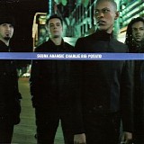 Skunk Anansie - Charlie Big Potato