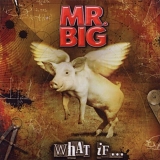 Mr. Big - What If.... [Limited w/DVD]
