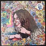 Tiny Tim - CONCERT IN FAIRYLAND