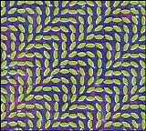 Animal Collective - Merriweather Post Pavilion