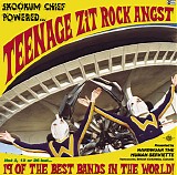 Various artists - Skookum Chief Powered... Teenage Zit Rock Angst