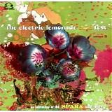Various artists - The Electric Lemonade Acid Test #3 [An Anthology Of The Spark Label 1967-70] - LP