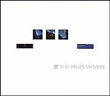 BT - This Binary Universe