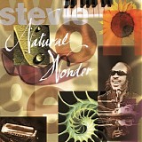 Stevie Wonder - Natural Wonder (Live)