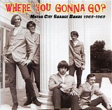 Various artists - Where You Gonna Go? Motor City Garage 1965-1969