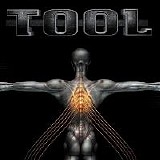 Tool - Salival