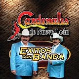 Los Cardenales de Nuevo Leon - Exitos con Banda