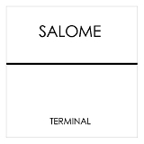 Salome - Terminal