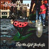 Ladybug Mecca - Trip the Light Fantastic